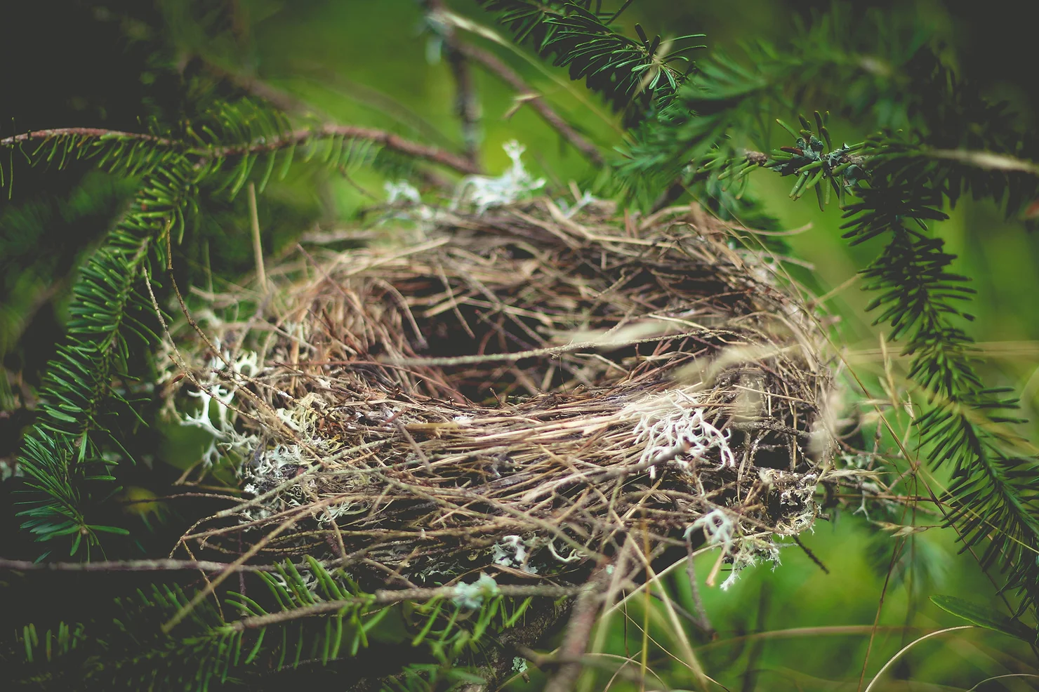 Signs and Symptoms of Empty Nest Syndrome